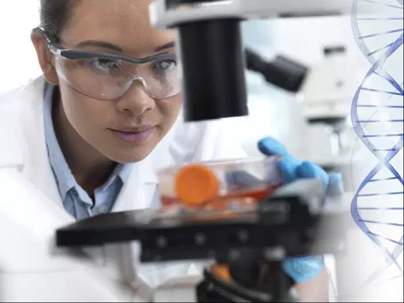 /18263ciencia2603.jpg