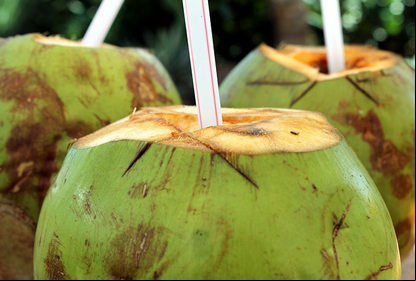 /20537imagem-de-coco.jpg