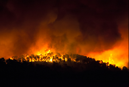 /20589imagem-incendio.jpg