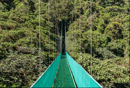 /20606imagem-parque-ambiental.jpg