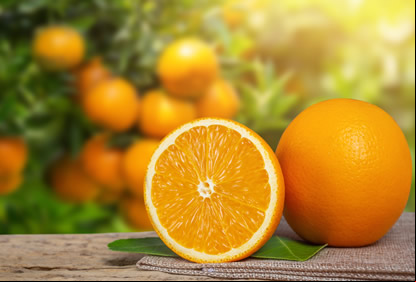/22151laranja-aj.jpg